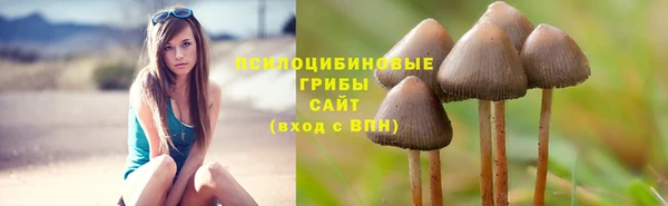гашиш Алексин
