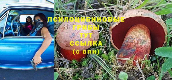 прущий лед Алексеевка