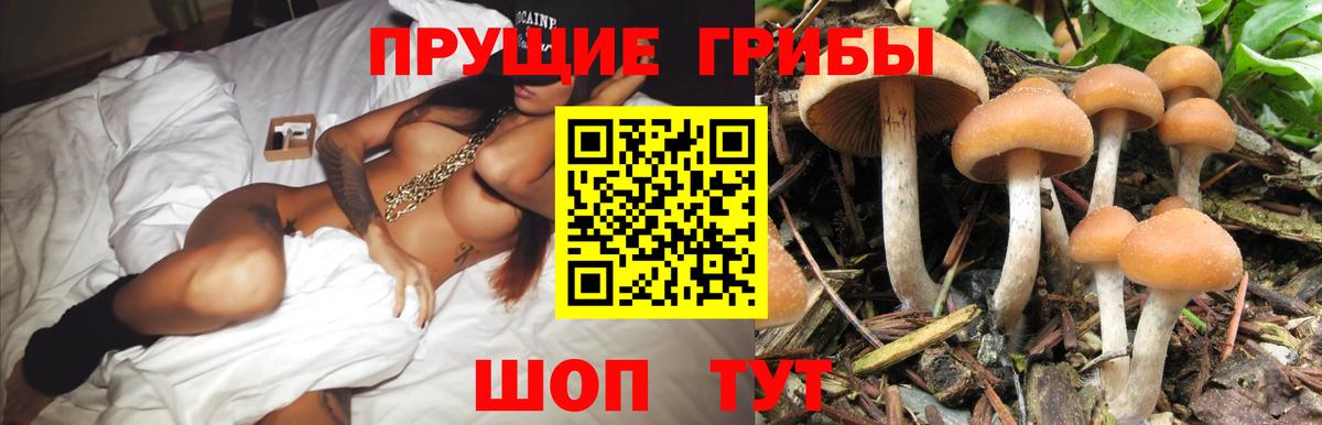 Псилоцибиновые грибы GOLDEN TEACHER Изобильный